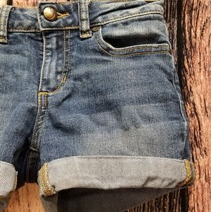 Joe's Jean's Denim Shorts